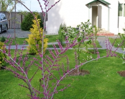 База Aхтуба