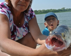 База Aхтуба