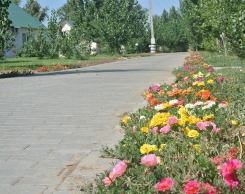 База Aхтуба