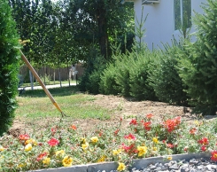 База Aхтуба