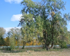 Строительство 2014