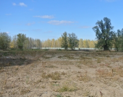 Строительство 2014