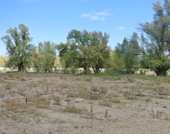 Строительство 2014