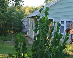 База Aхтуба