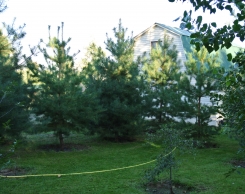 База Aхтуба