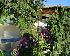 База Aхтуба