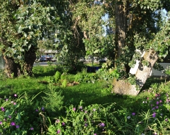 База Aхтуба