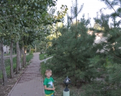 База Aхтуба