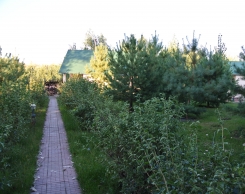 База Aхтуба